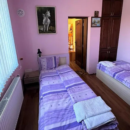 Tainov House 萨莫科夫